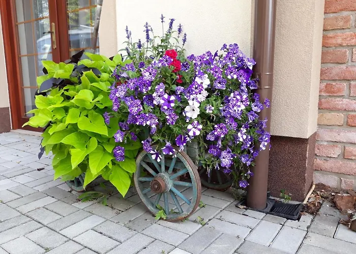 Dvoupokojovy S Kuchynskym Koutem